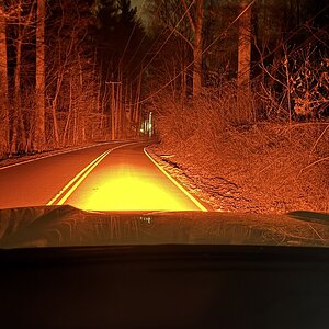 IMG_2307.jpeg
