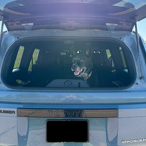 IMG_1137.jpeg