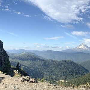 IMG_1302.jpeg
