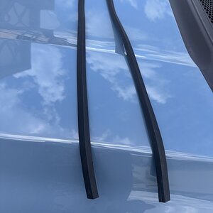IMG_5449.jpeg
