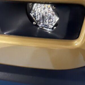 IMG_1796.jpeg