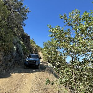 IMG_5206.jpeg
