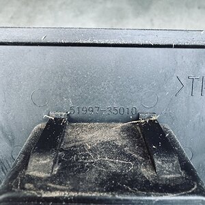 IMG_3721.jpeg