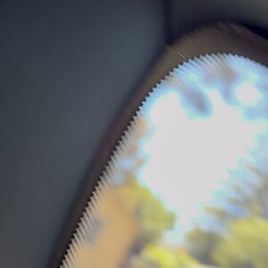 IMG_1654.mov