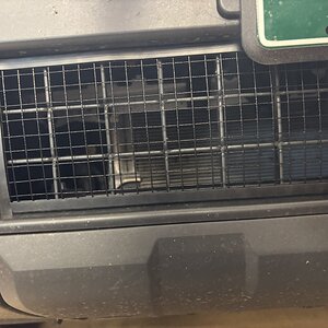 IMG_2422.jpeg