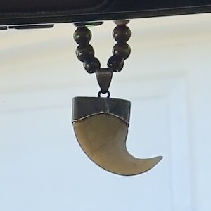 IMG_1843.jpeg