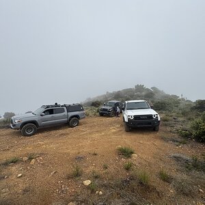 IMG_3386.jpeg