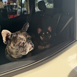 IMG_1630.JPEG