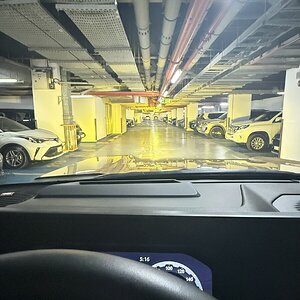 IMG_1517.jpeg