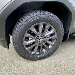 IMG_1904.jpeg