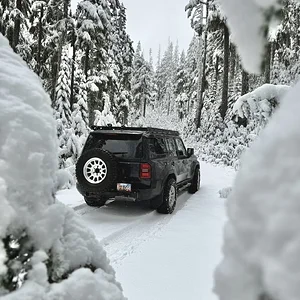 IMG_2485.jpeg