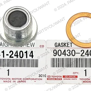 Frt Diff Drain plug and washer.jpg