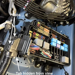 Clamshell tabs.JPG