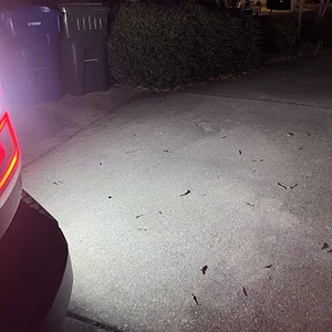 34 Backup lights 11.jpeg