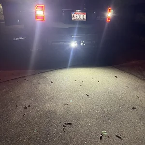 36 Bacpup lights 13.jpeg