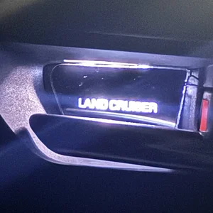 31 Door Pull light.jpeg