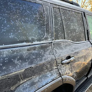 Frosty.jpg
