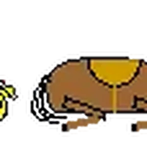 1779905916819.webp
