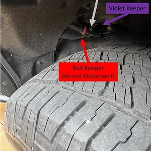 12Red-Gray-Violet Keepers Dvr side.webp