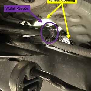 13Violet Keeper Dvr side.webp