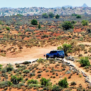 064A5559-Arches copy-LC Arches.webp