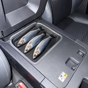 Fish in the Cooler Box.webp