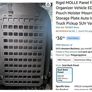 Mollie Panel.webp