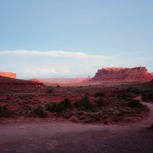 L1000205.webp