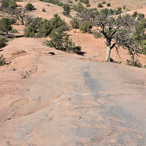 20261002_131759.webp