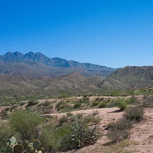 L1000209.webp