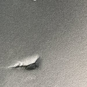 IMG_2521.jpeg