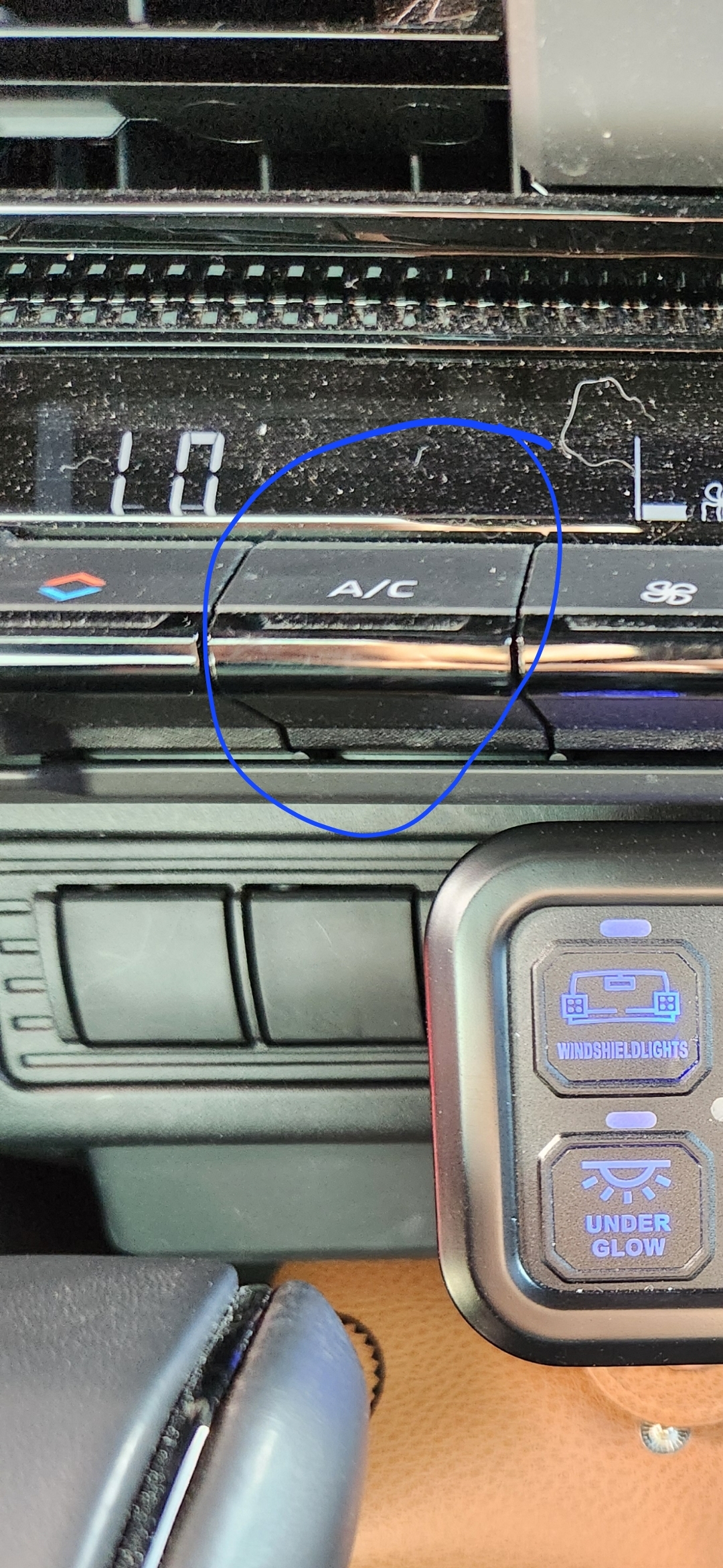 1000008053.jpg