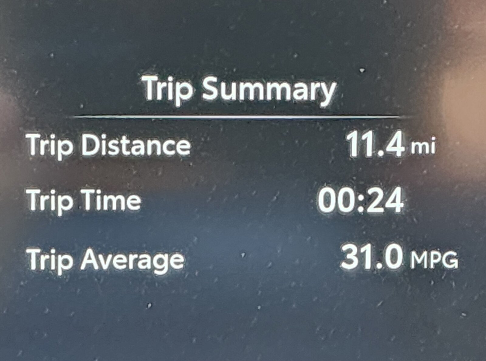 1000039676.jpg