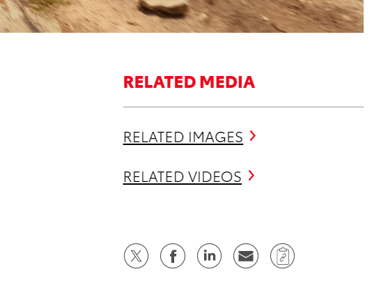 1695477009415.png