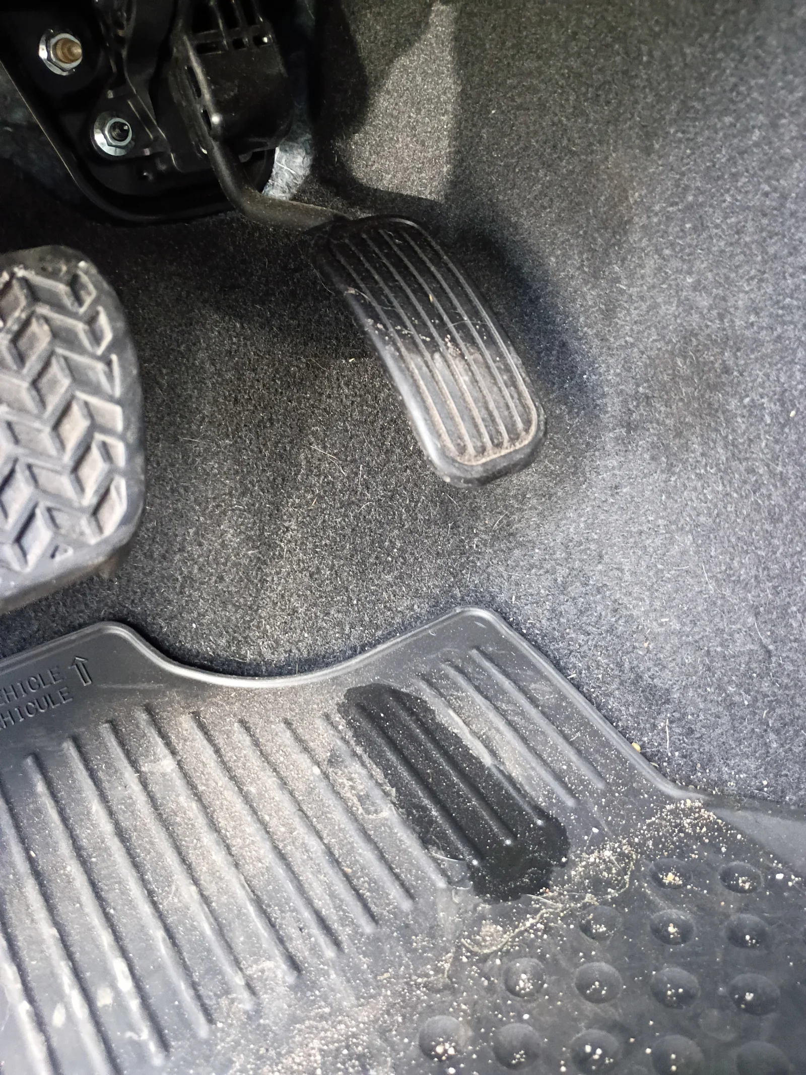 1918.webp