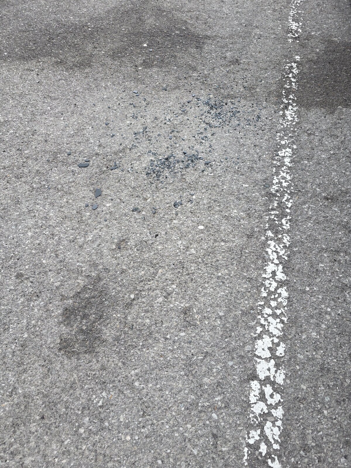 20250419_080849.jpg