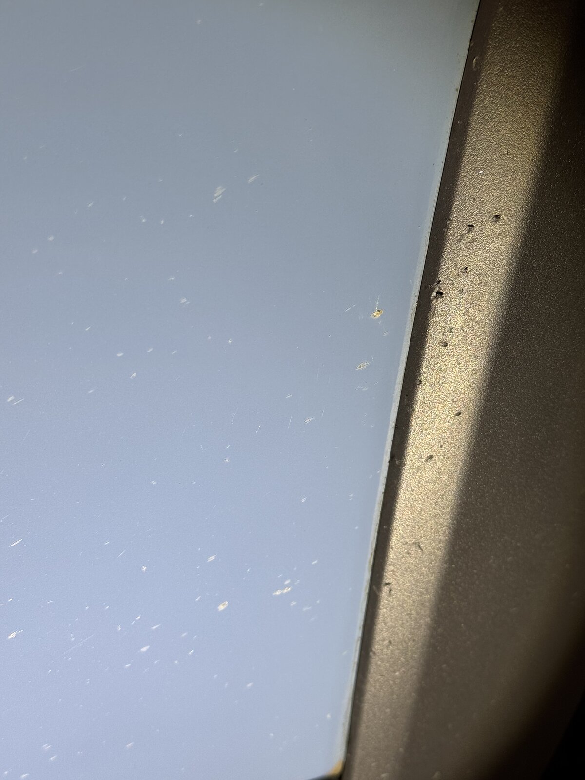 IMG_0885.jpeg