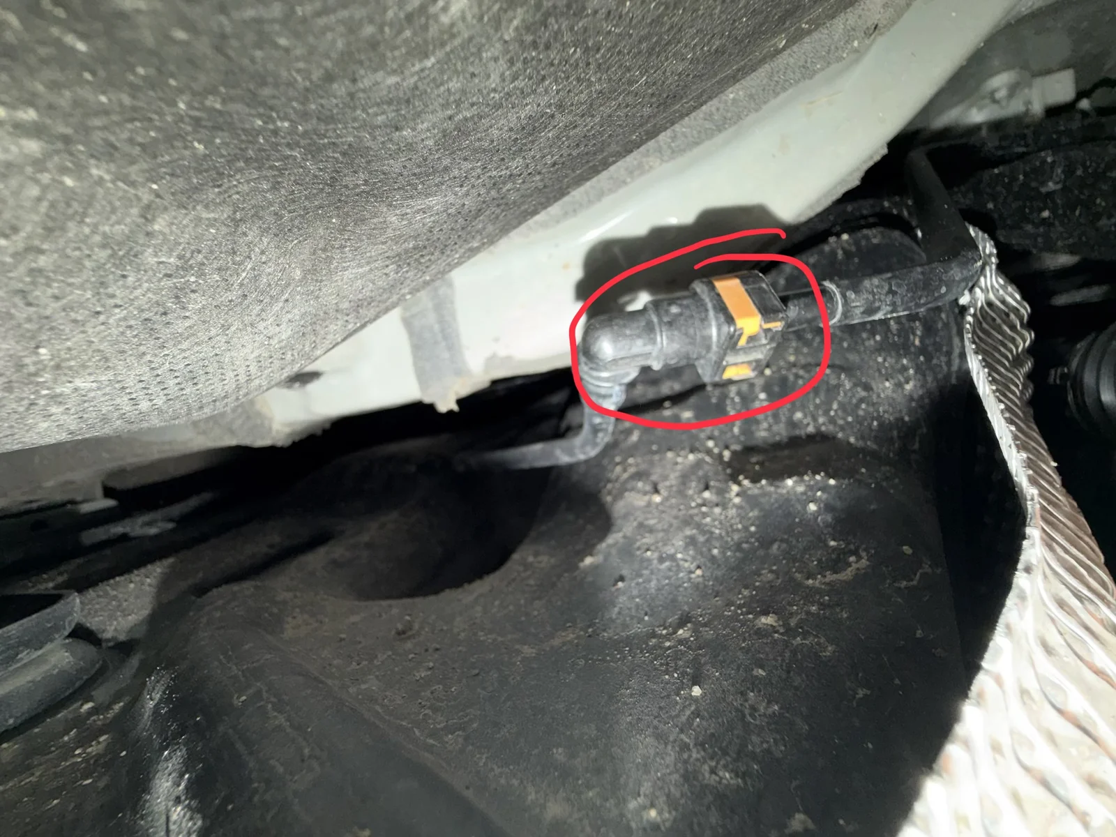 IMG_1031.webp