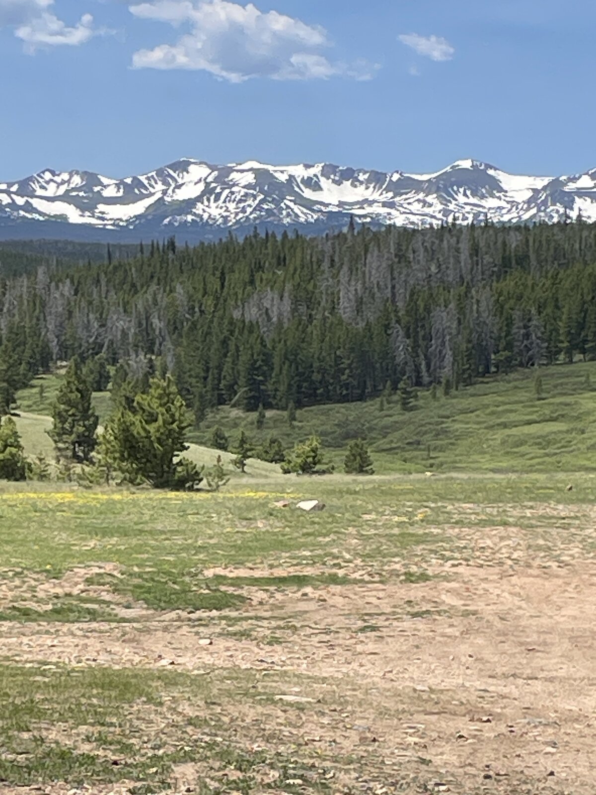 IMG_4291.jpeg