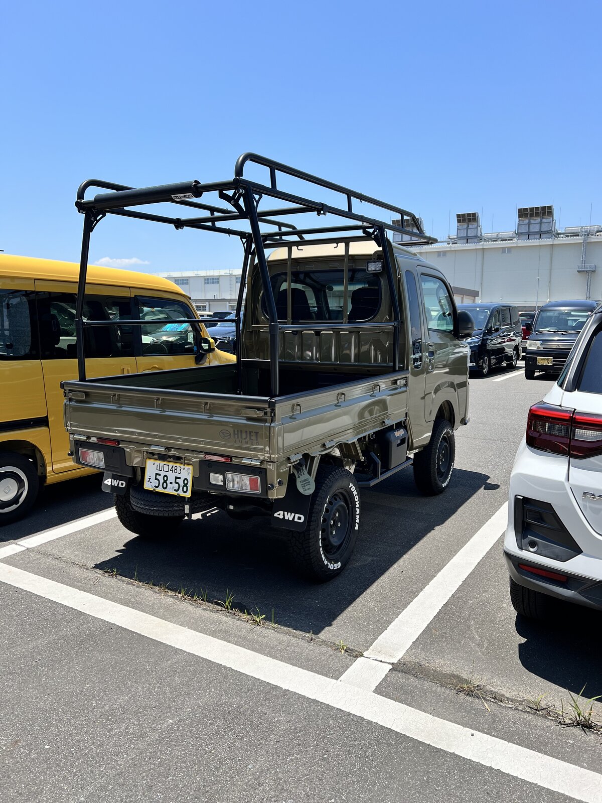 IMG_8896.jpeg