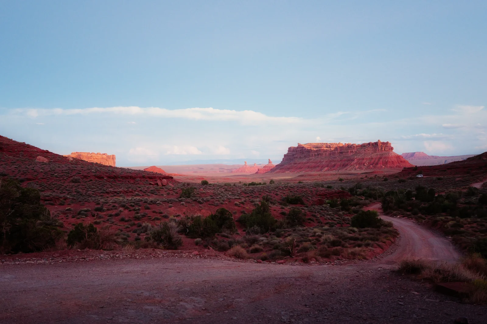 L1000205.webp