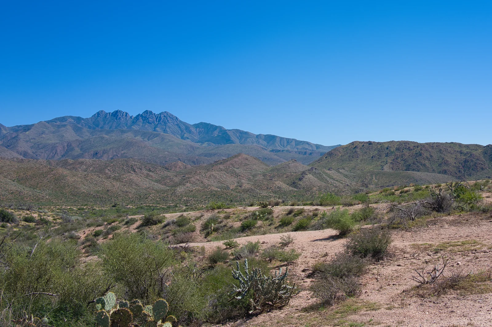 L1000209.webp