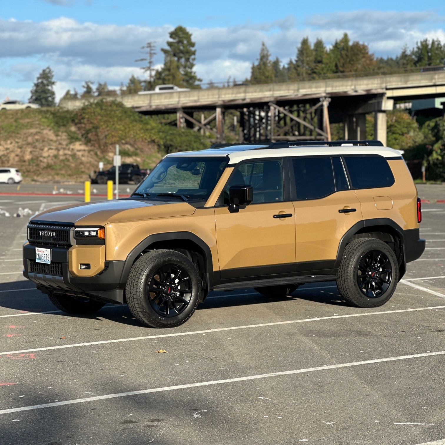 landcruiser.jpg
