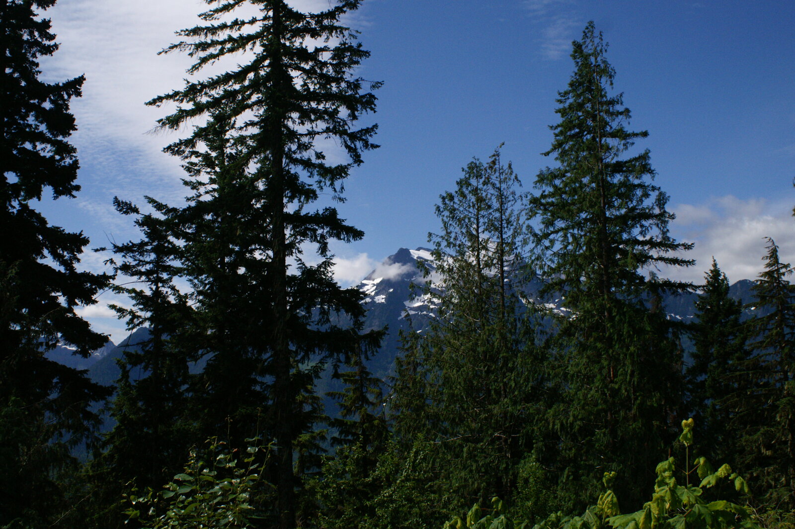PICT3247.JPG