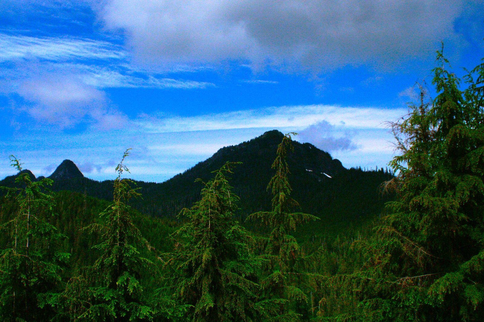 PICT3254.JPG