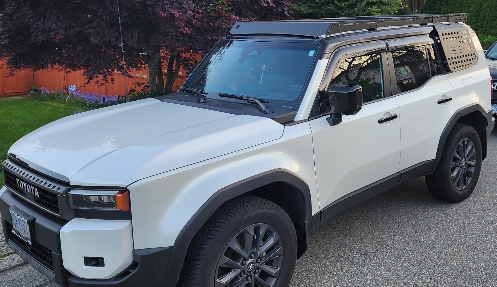 roof rack.jpg