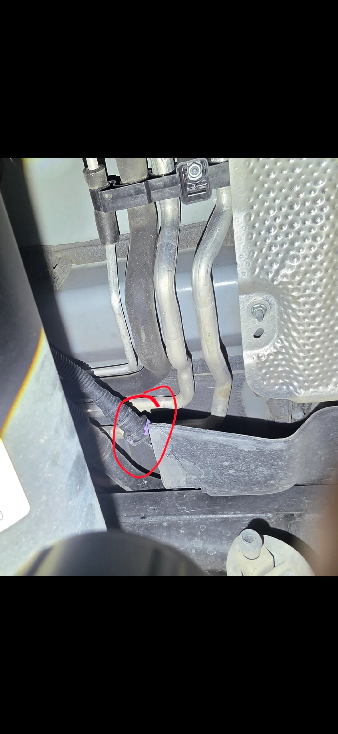 Screenshot_20261020_091615_Gallery.webp